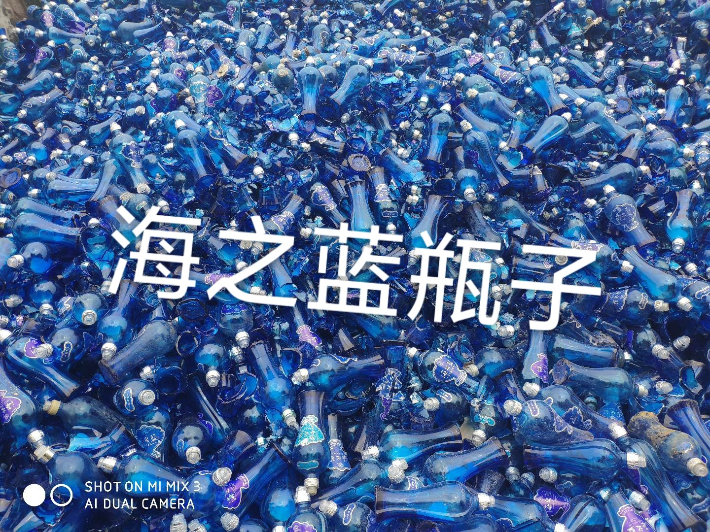海安海之蓝瓶回收